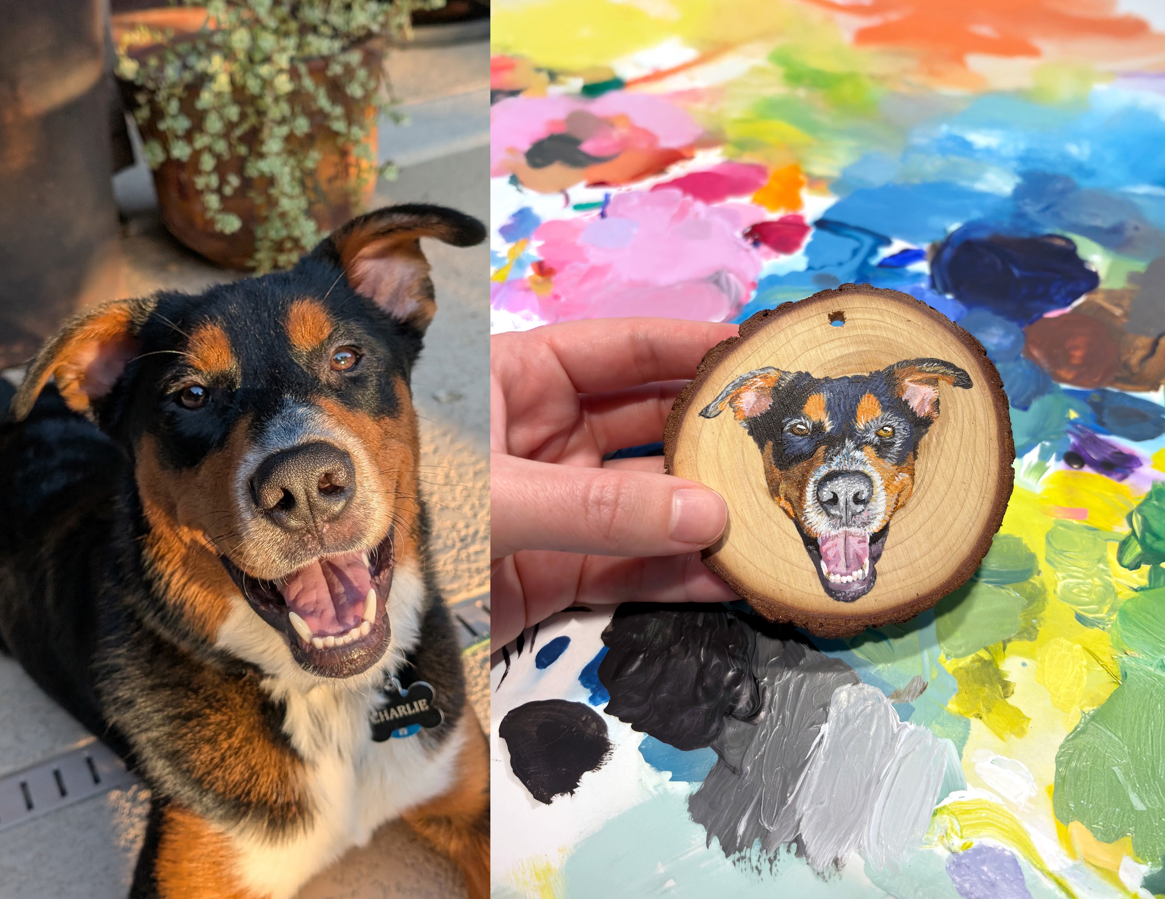 Custom Painted Pet Ornament