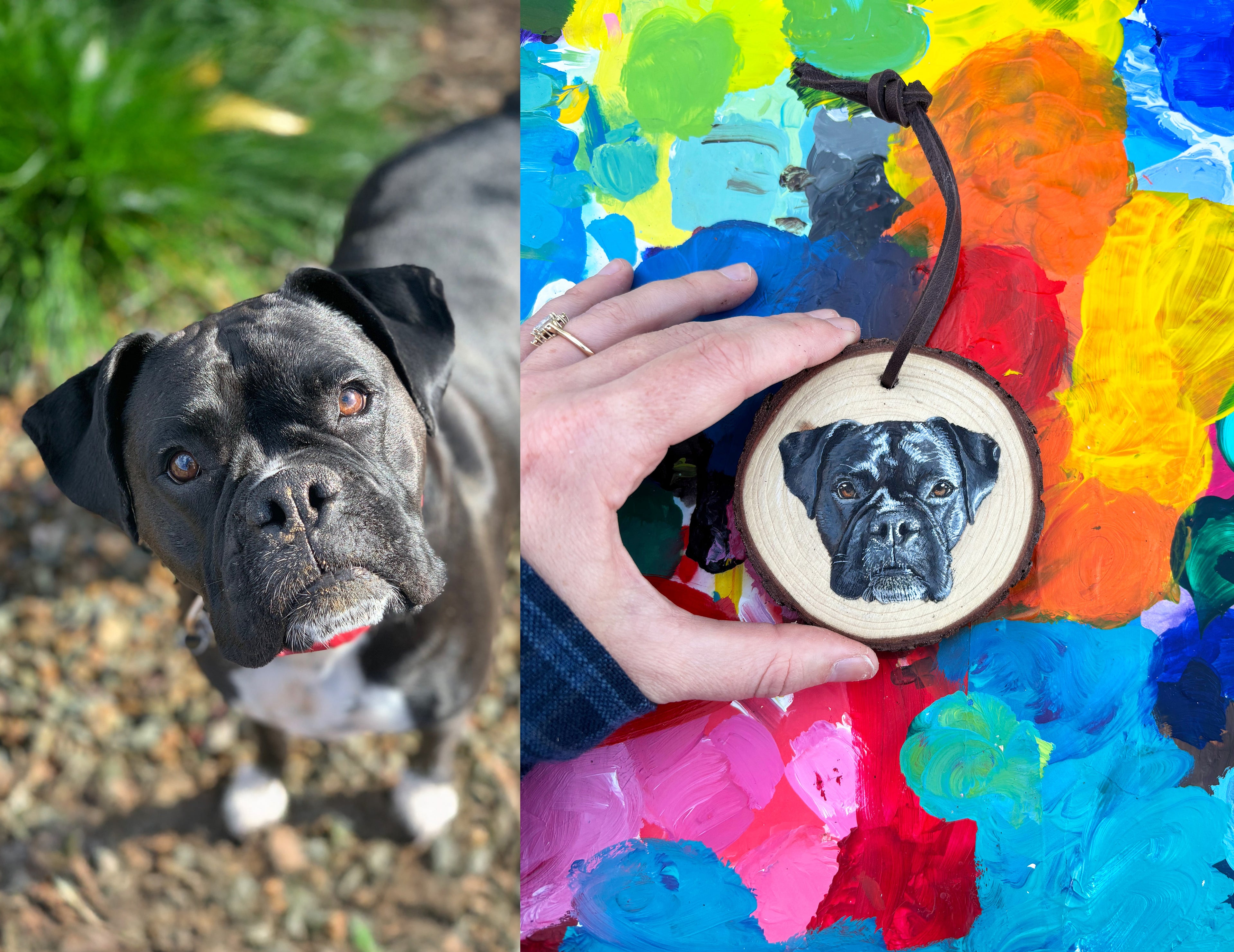 Custom Painted Pet Ornament