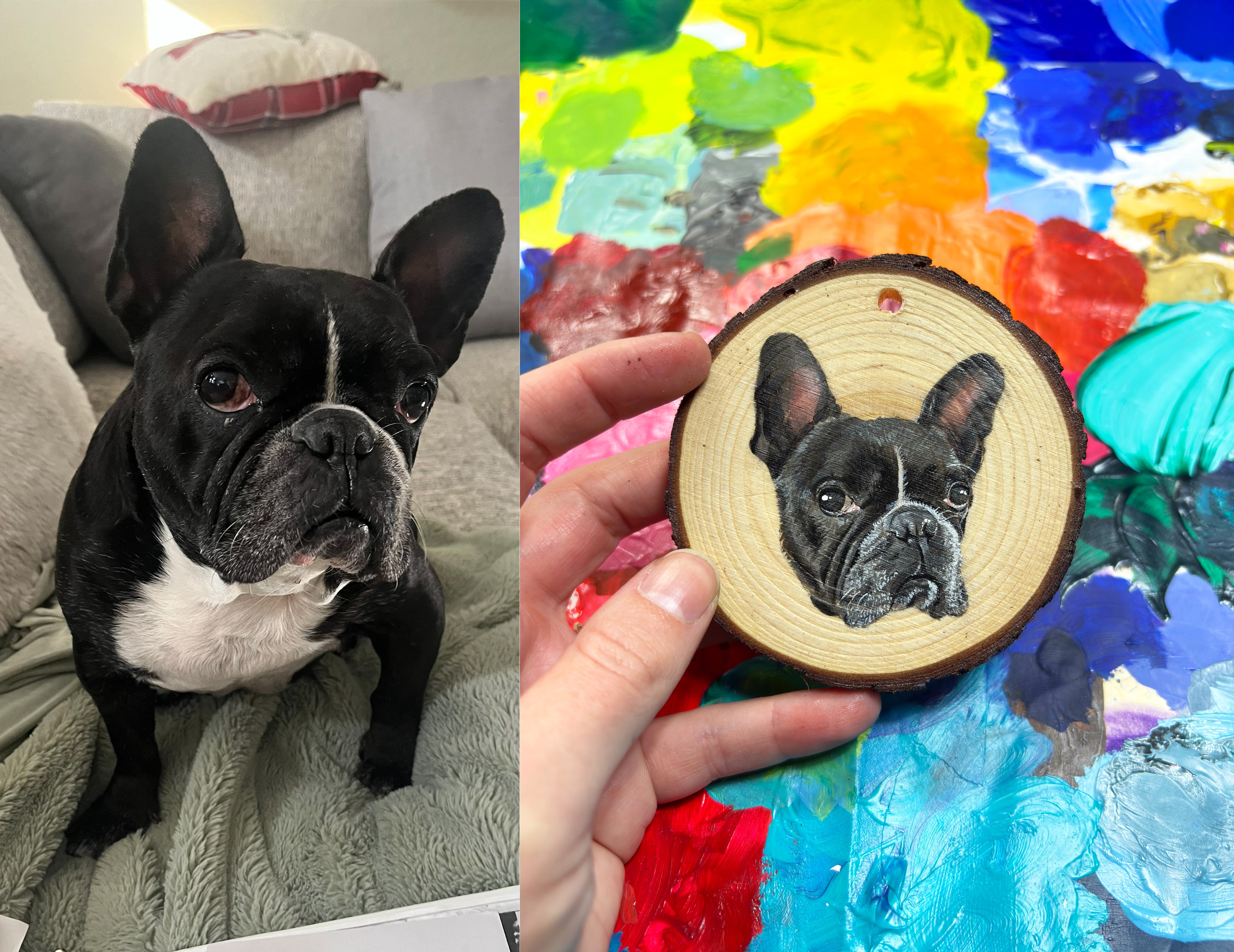 Custom Painted Pet Ornament